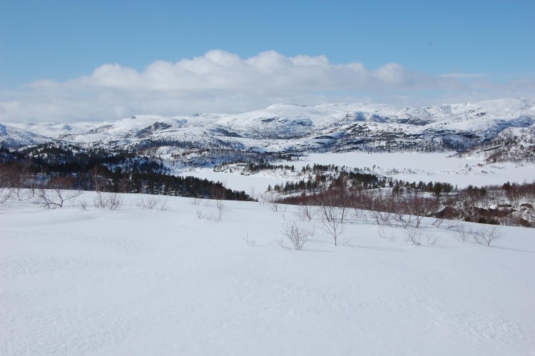 Lenke til artikkel: Hægebostad kommune inviterer til folkemøte – område kommunedelplan Hekkfjell